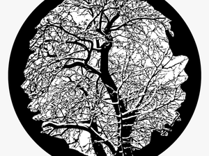 Apollo Winter Tree - Glass Gobo Tree