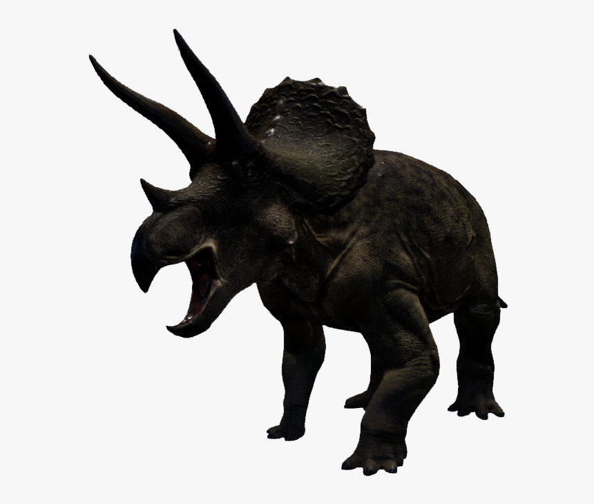 Triceratop Transparent Backgroun