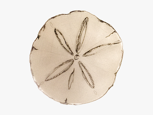 Sand Dollar Png