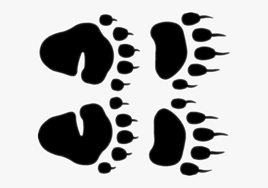Black Bear Track Footprint
