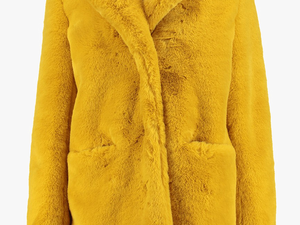 Women Fur Coat Png Clipart