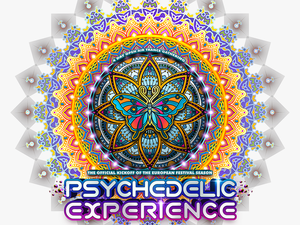 Psychedelic Experience Festival 2019