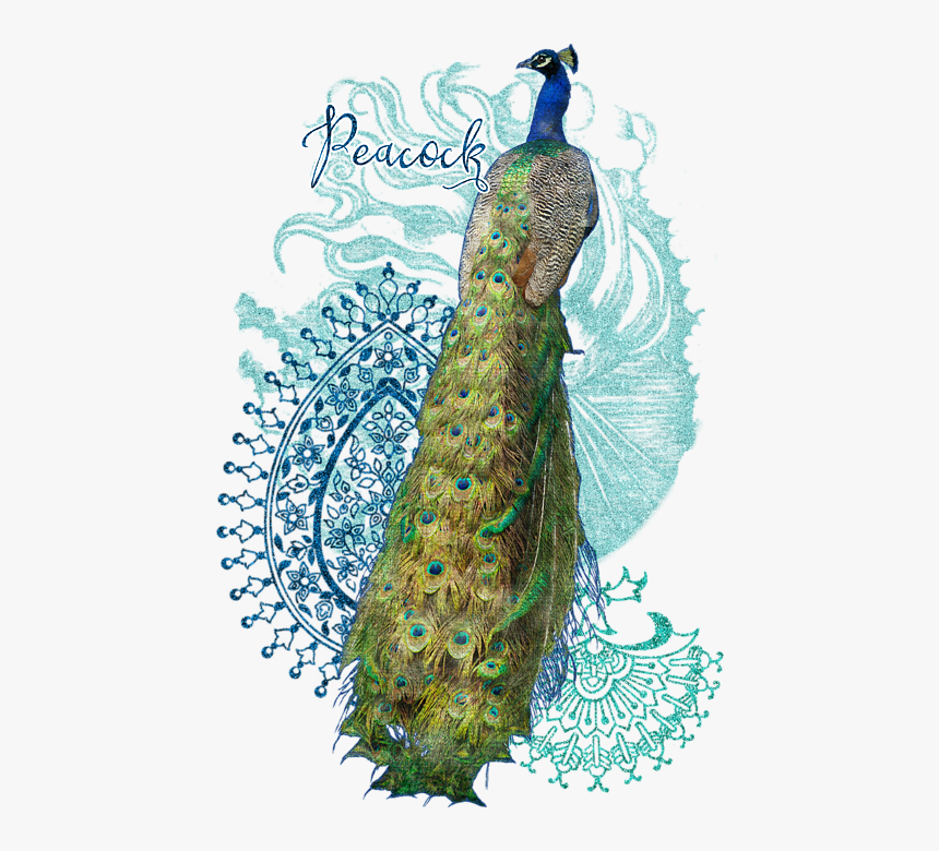India Peacock Paisley Design