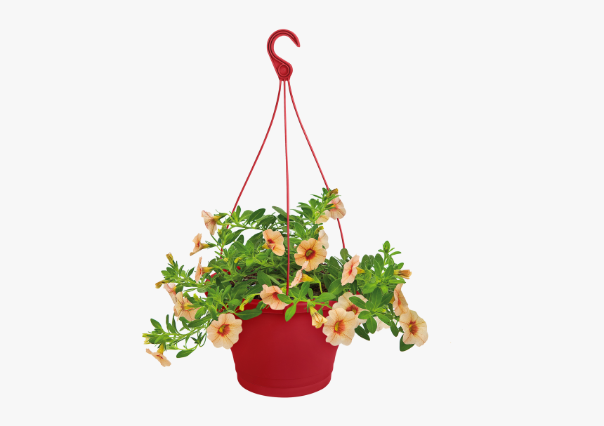 Hanging Flowers Png