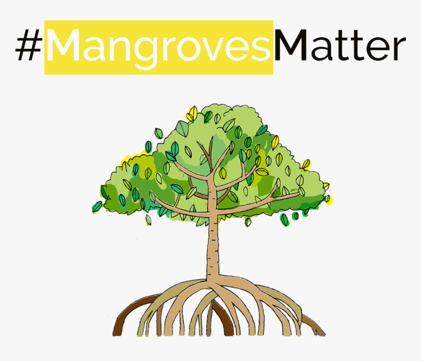 Mangrove Planting Campaign