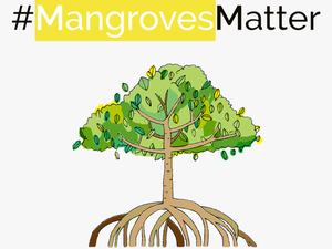 Mangrove Planting Campaign
