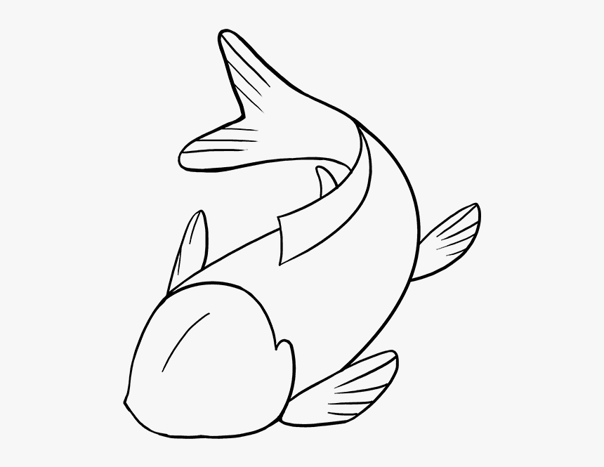 Fish Drawing Pictures - Koi Fish