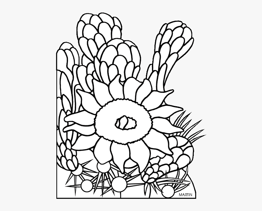 Clip Art Arizona Flower Clipart 
