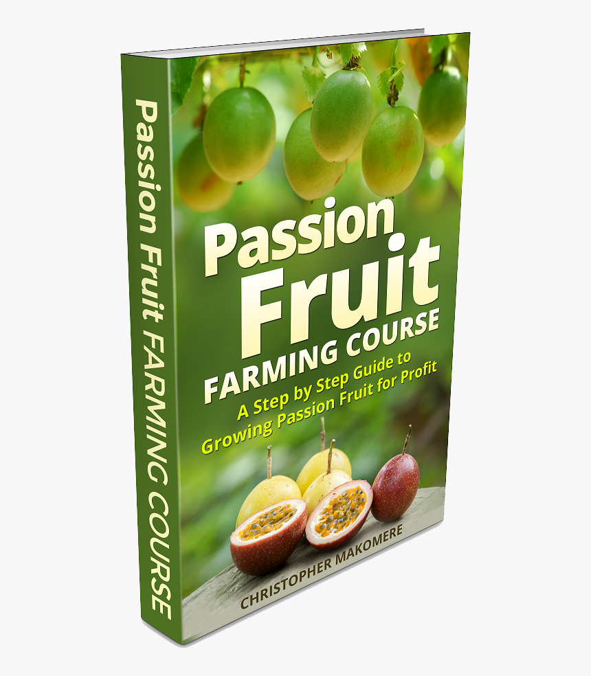 Passion Fruit Farming In Large Scale