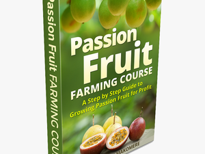 Passion Fruit Farming In Large Scale