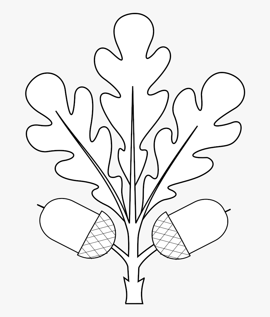 Oak Tree Png Clipart Heraldry