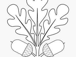 Oak Tree Png Clipart Heraldry
