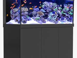 Transparent Fish Tank Png - Red Sea Reefer Deluxe 450
