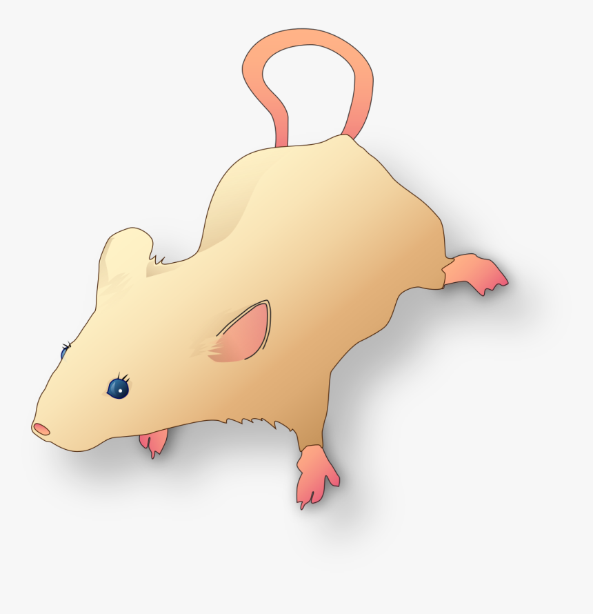 Vectorized Lab Mouse Mg 3263 For Scientific Figures - Scientific Mouse