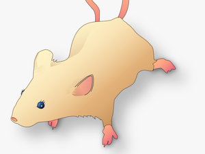 Vectorized Lab Mouse Mg 3263 For Scientific Figures - Scientific Mouse