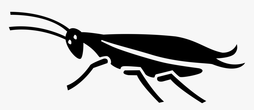 Vector Illustration Of Cockroach