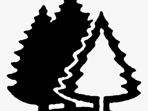 Black Brook Cove Campground - Camping Tree Clipart Black And White