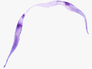 Purple Ribbon Transparent Decorative - Headband