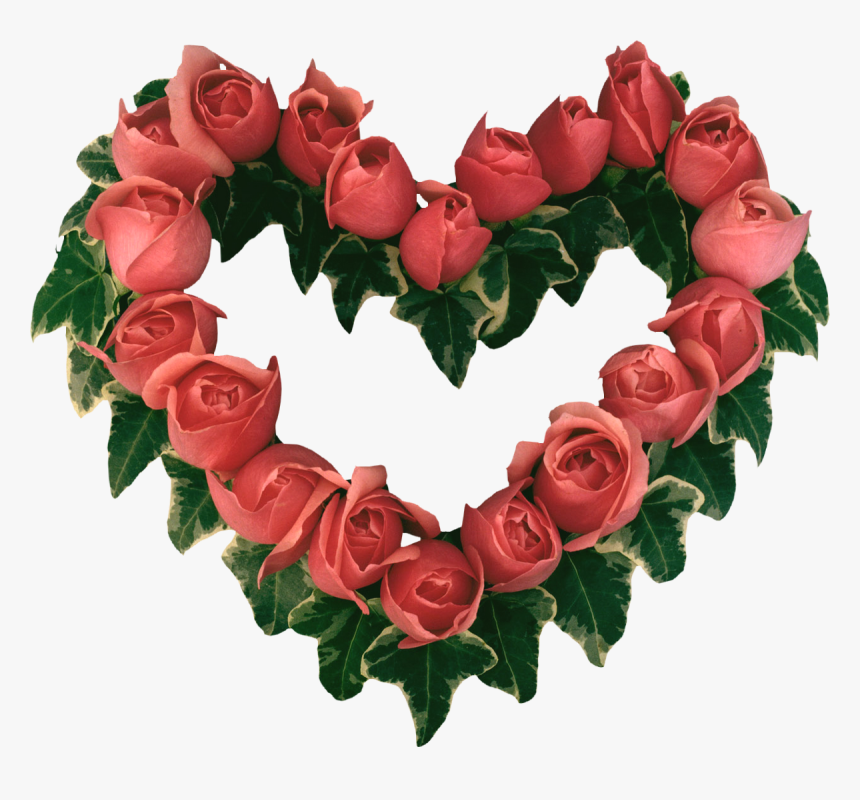 Beautiful Heart Touching Rose