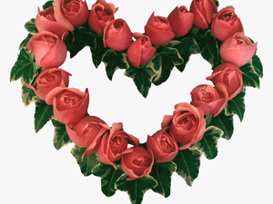 Beautiful Heart Touching Rose