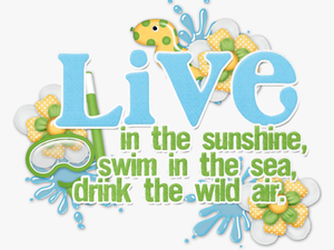Pool Party Word Art Png