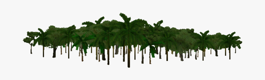 Jungle Transparent Background Png Download