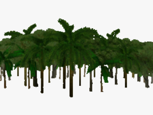 Jungle Transparent Background Png Download
