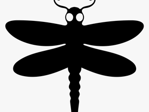 Dragon Fly Winged Animal Top View - Clip Art