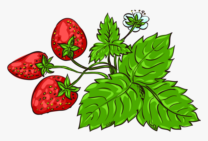 Clipart Leaf Strawberry - Strawb