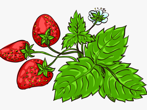 Clipart Leaf Strawberry - Strawberry