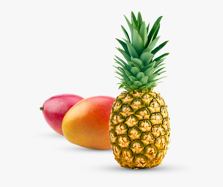 Pineapple In Different Languages