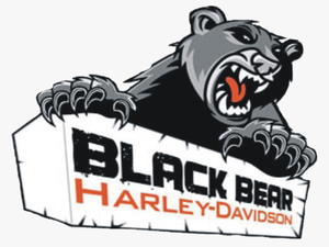 Black Bear Harley Davidson