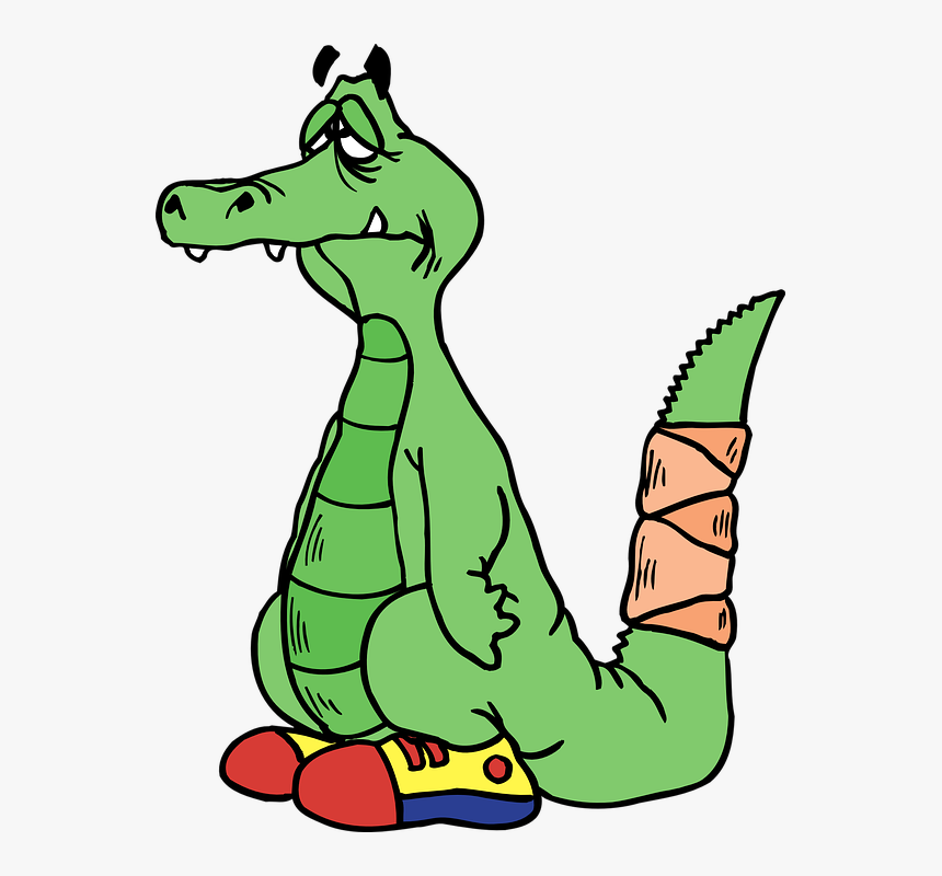 Alligator Sad