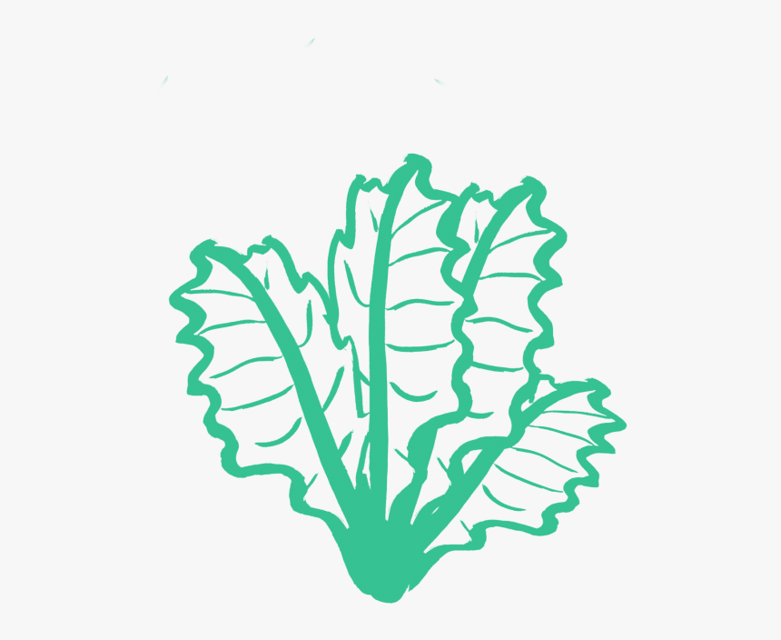 Kale Silhouette Png 