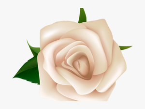 White Rose Clipart Png