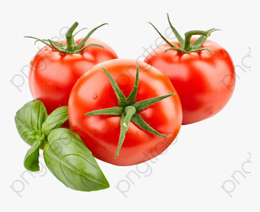 Tomato Clipart Cut - Tomato Png