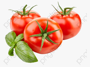 Tomato Clipart Cut - Tomato Png