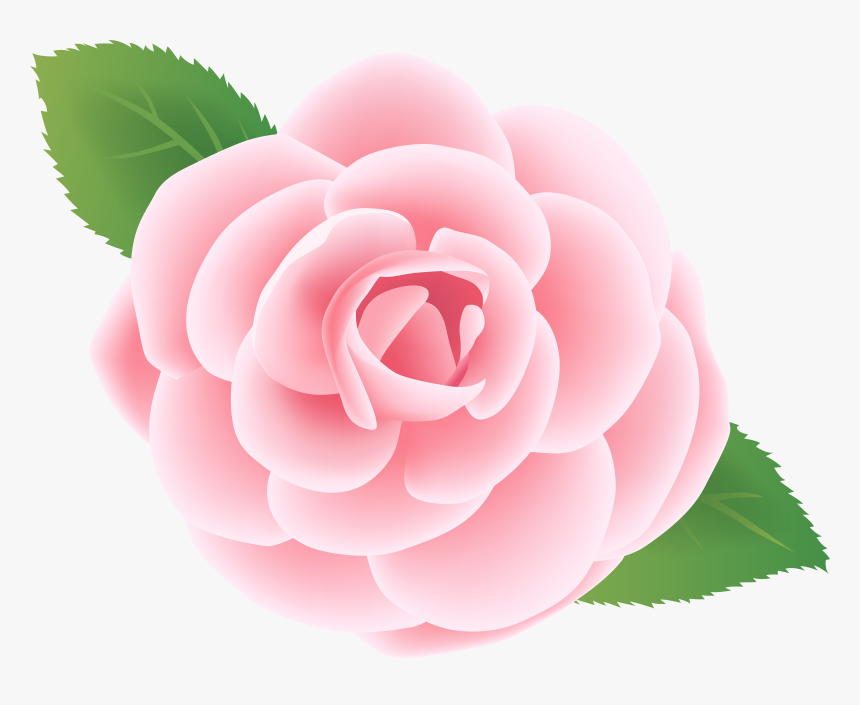 Pink Flower Deco Png Clip Art Im