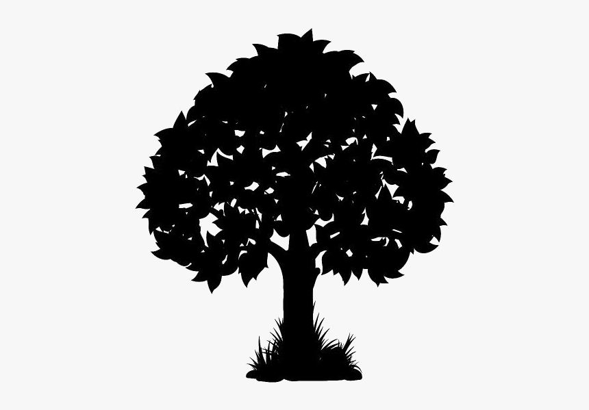 Tree Sketch Png Background - Transparent Background Tree Illustration Png