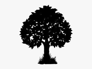 Tree Sketch Png Background - Transparent Background Tree Illustration Png