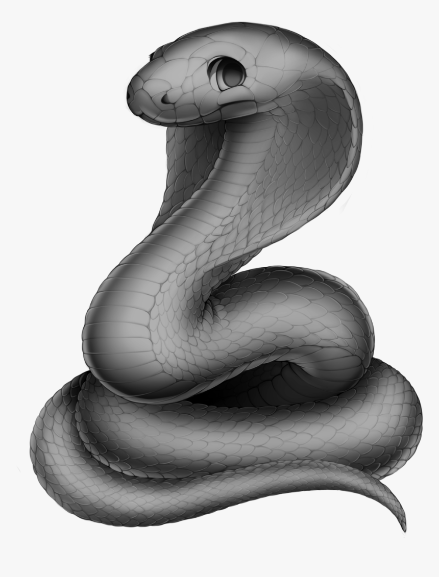 Snake Cobra Base 