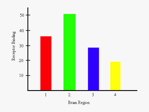 Bar Graph Representing The Amount Of Receptor Binding - Aba Bar Graph Examples