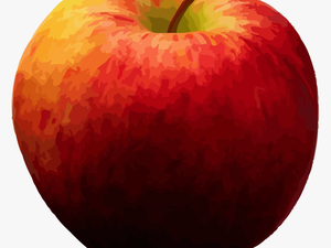 Realistic Apple Clipart Png - Fruit Apple Png