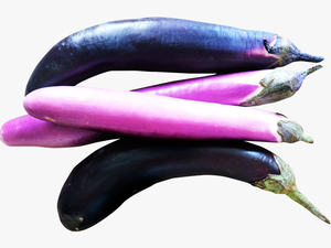 Eggplant Png Transparent Images - Egg Plants Png
