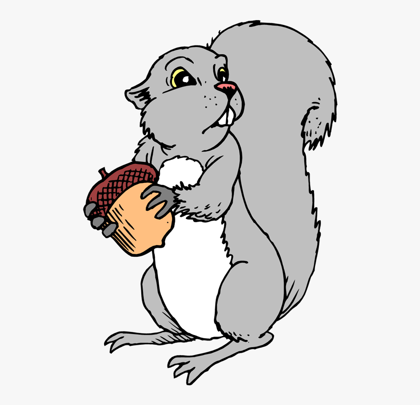 Squirrel Nuts Picture - Gray Squirrel Clipart