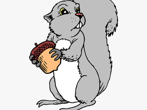 Squirrel Nuts Picture - Gray Squirrel Clipart