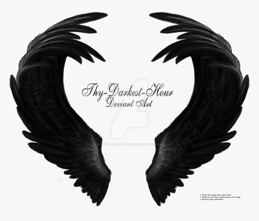 Angel Wings Stock Png - Oneus Of