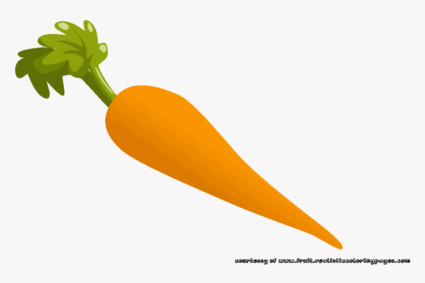 Carrots Clipart Edible Root - Carrot
