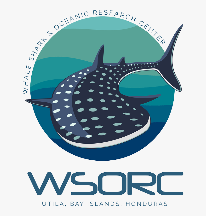 Wsorc - Whale Shark Logo