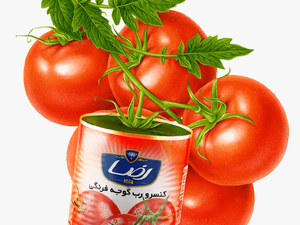 رب گوجه - Plum Tomato